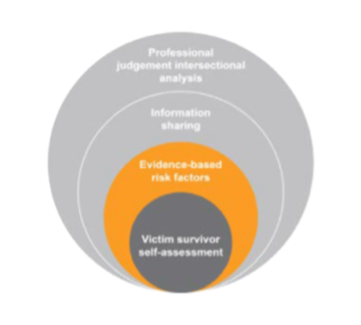 MARAM PG Adult - Responsibility 2: Model of Structured Professional Judgement