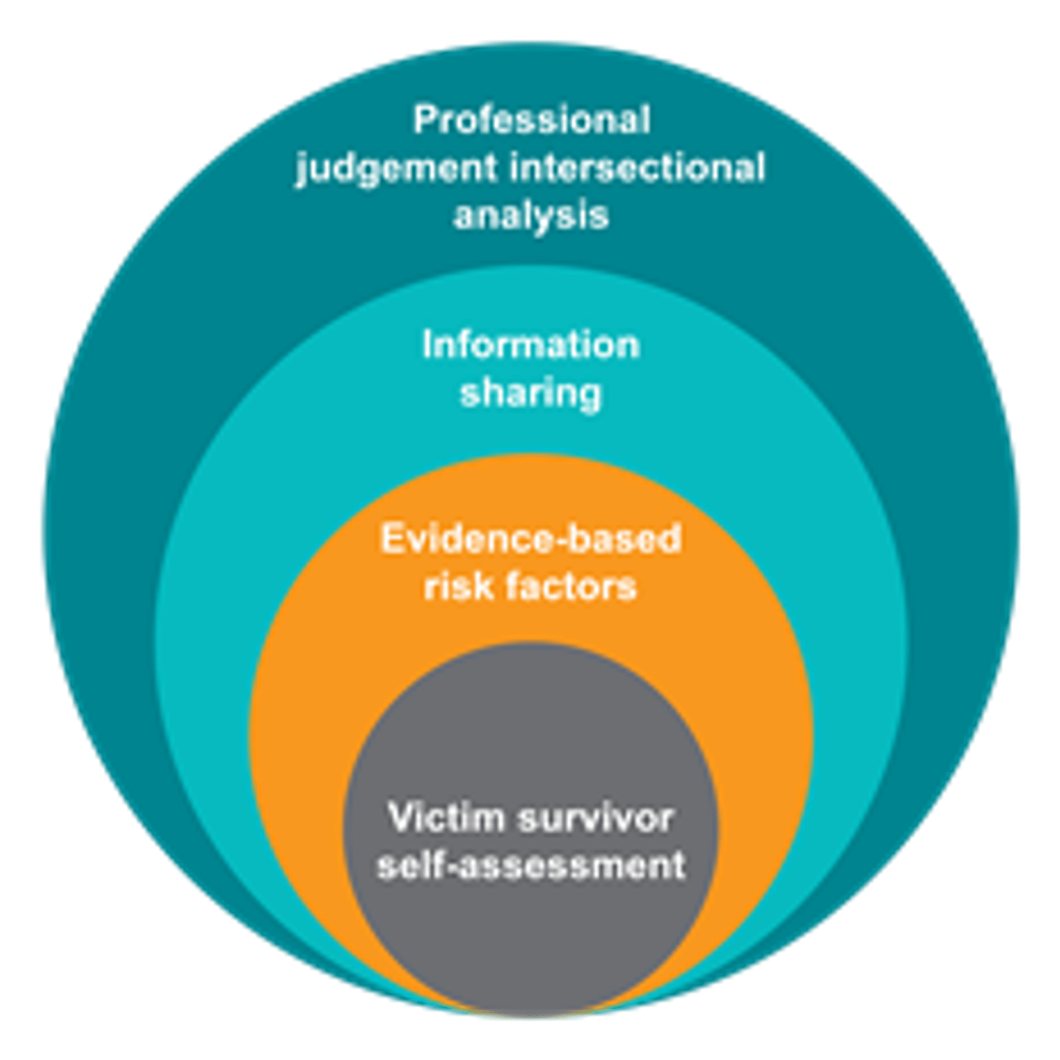 Responsibility 3: Model of Structured Professional Judgement