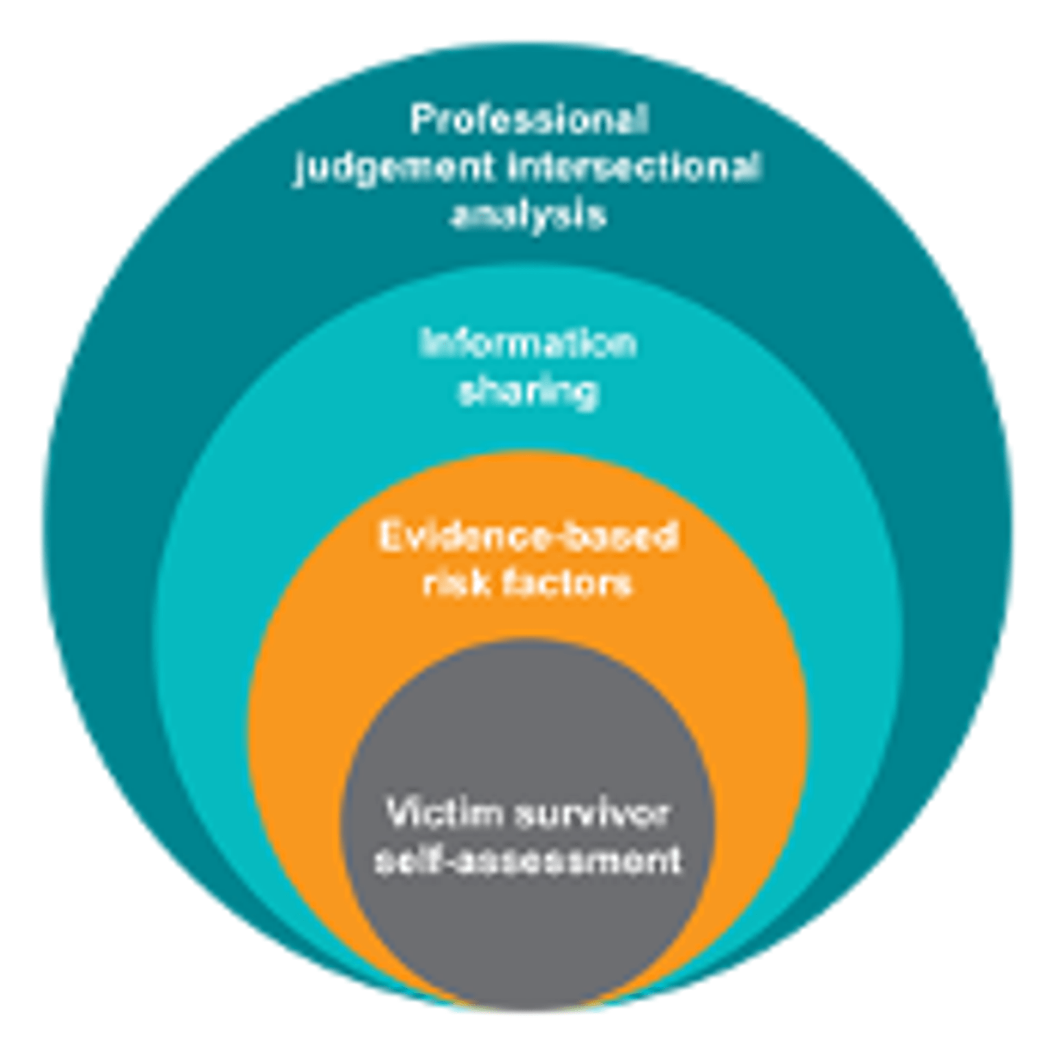 Responsibility 4: Model of Structured Professional Judgement