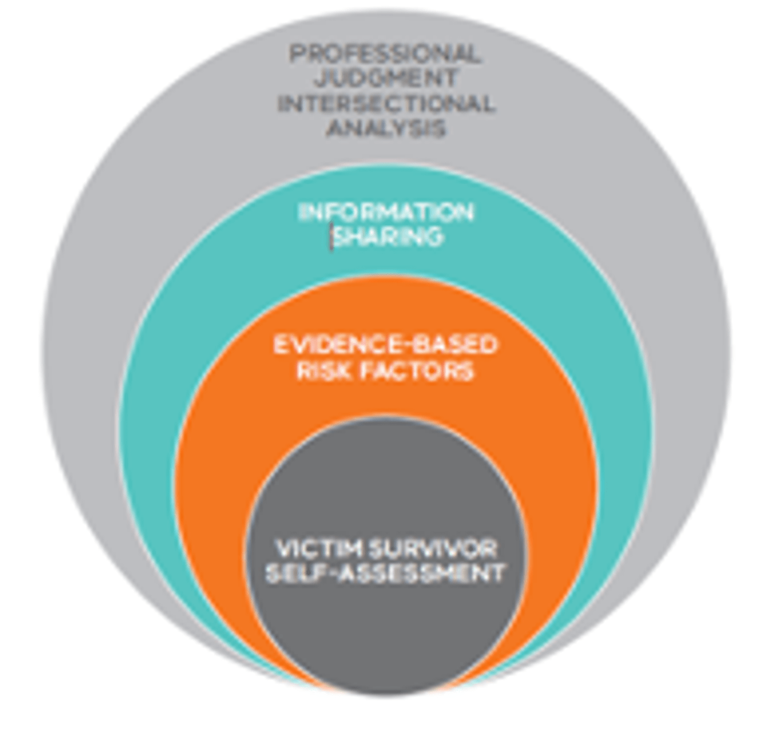 Responsibility 6: Model of Structured Professional Government