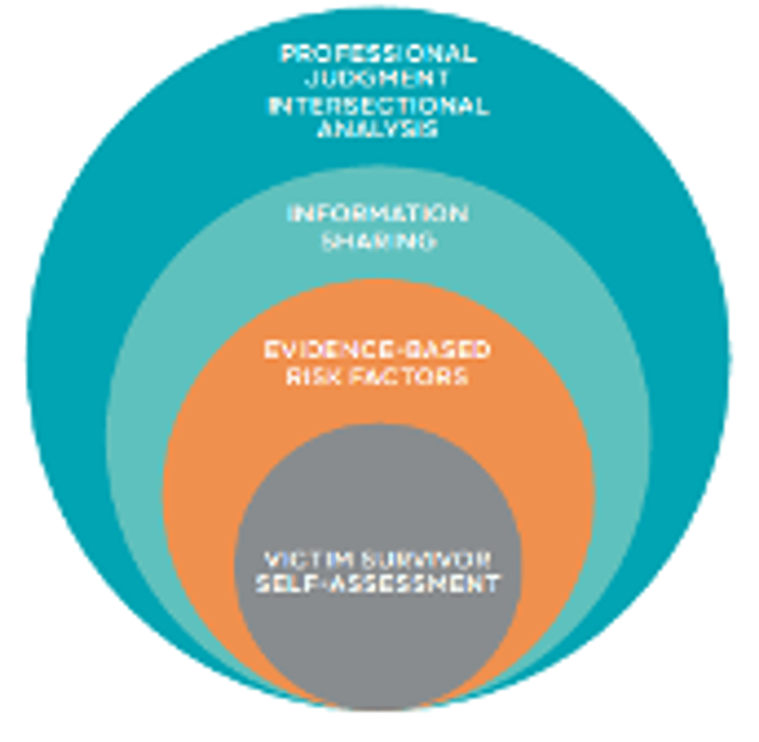 Responsibility 9: Model of Structured Professional Judgement