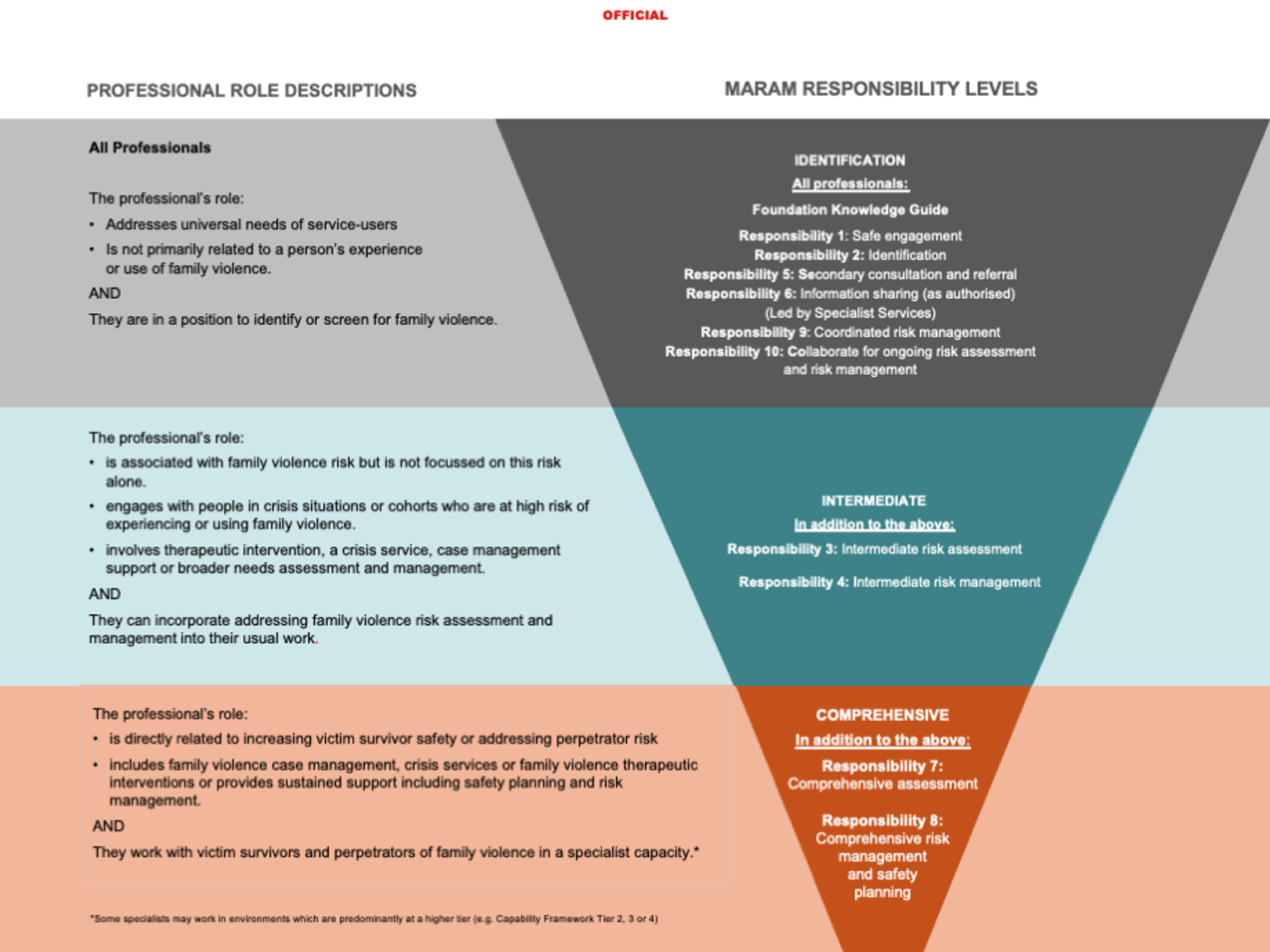 MARAM PG Adult - Figure 2: MARAM responsibilities and role descriptions