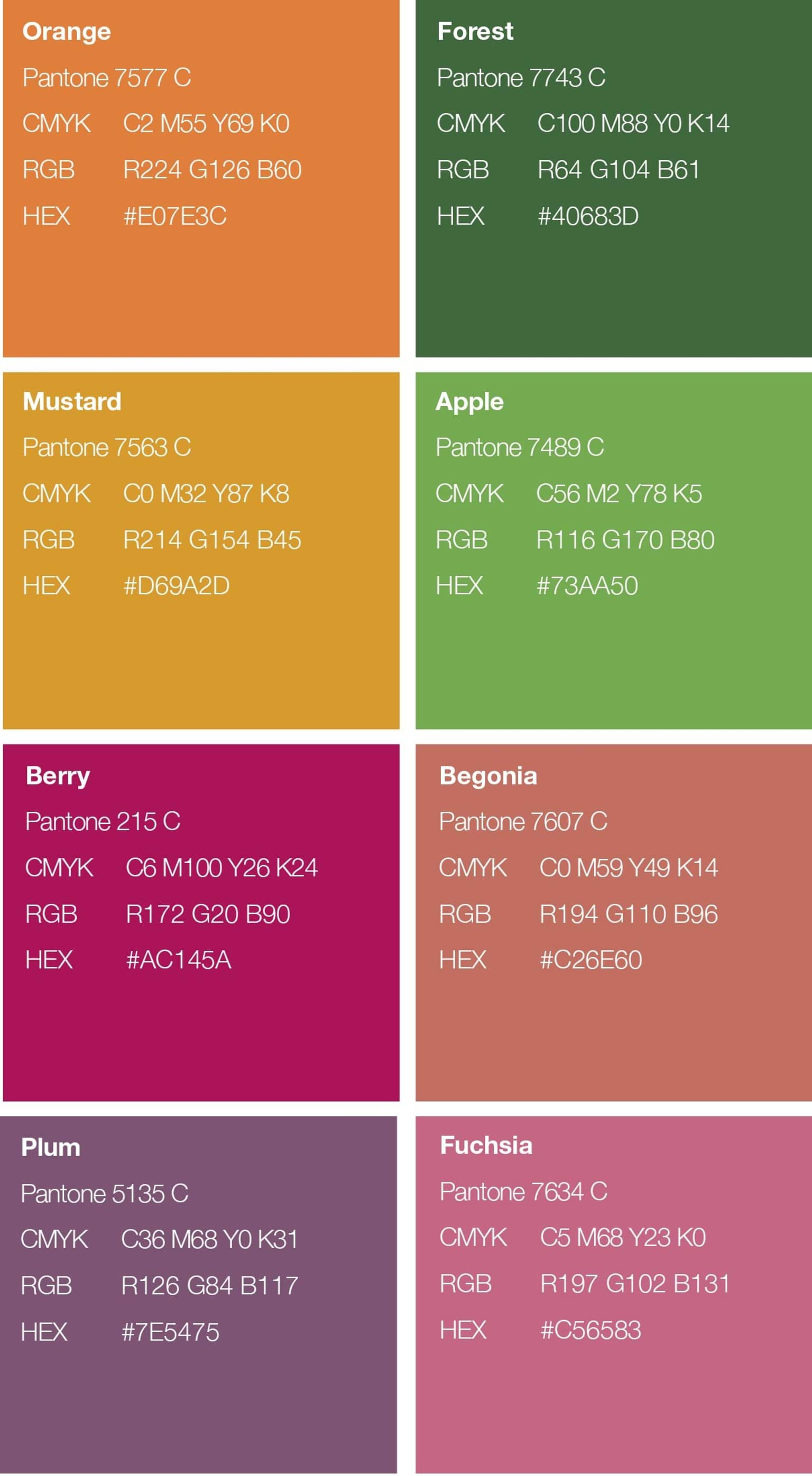 Learn Local secondary brand colours