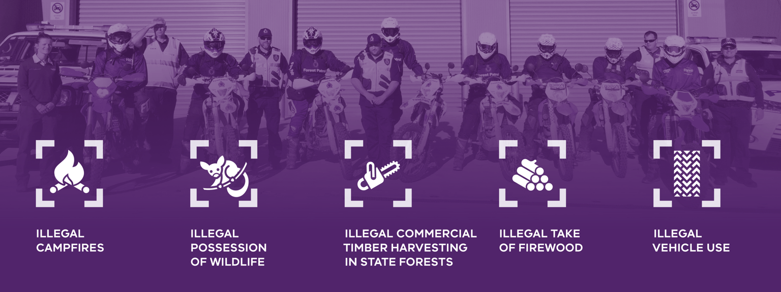 Diagram outlining the regulatory priorities