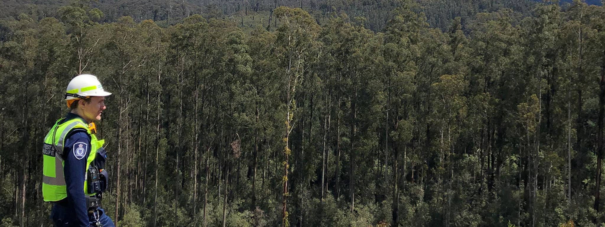 Image of wildlife officer standing in front of park