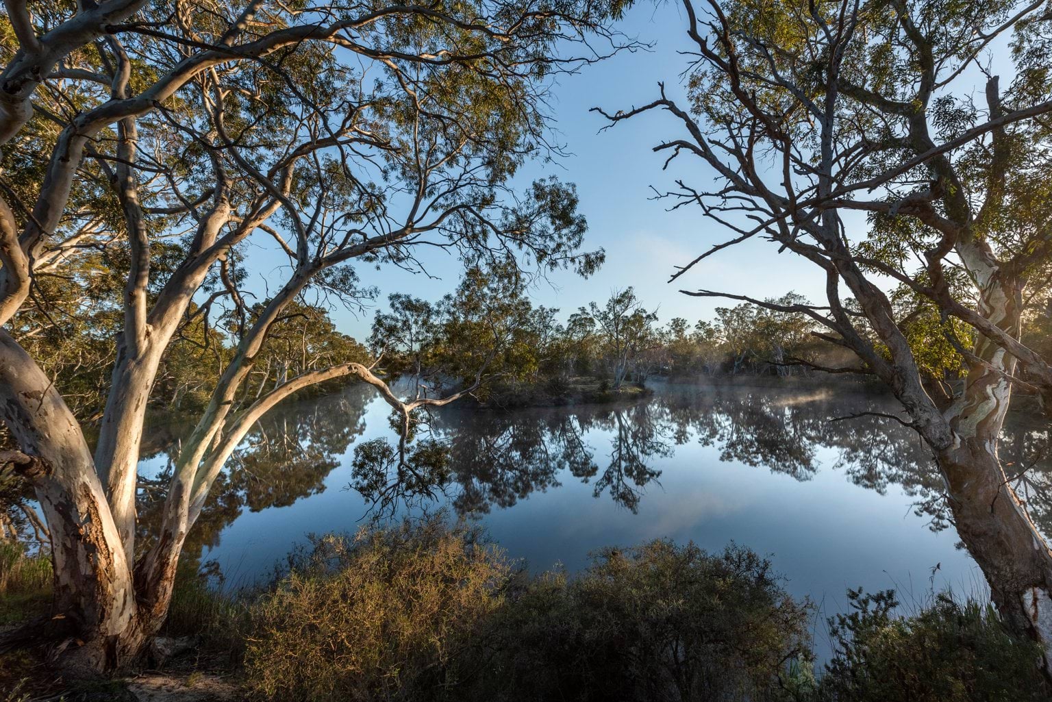 Little Desert National Park Lake in Little Desert National Park, surrounded by gum trees