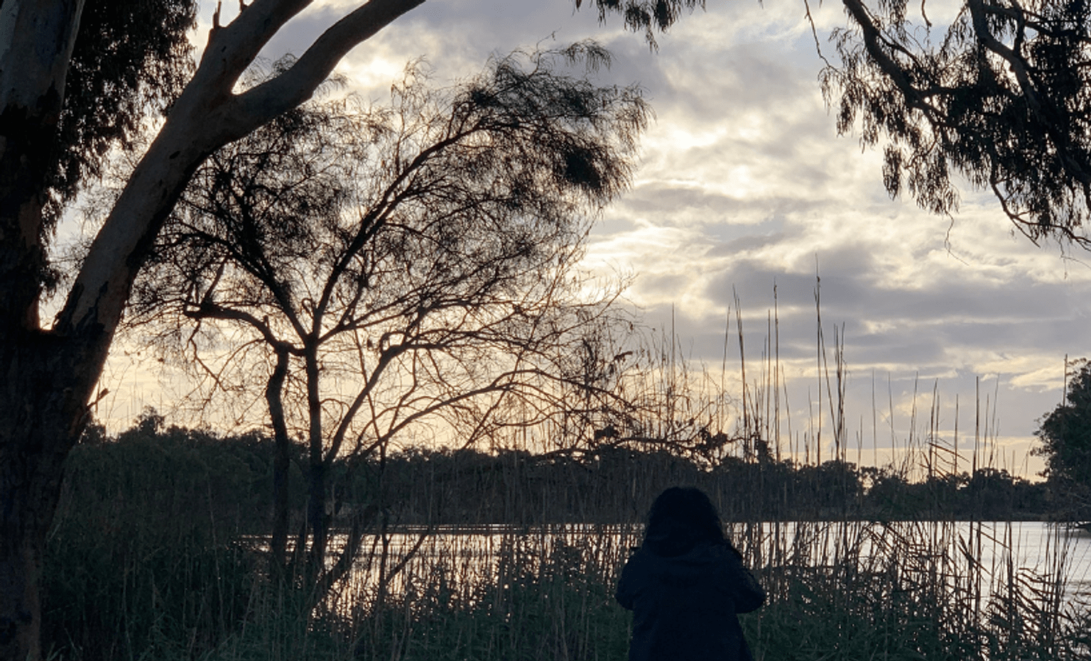 Artist Maree Clarke taking in the dusk at Merbein
