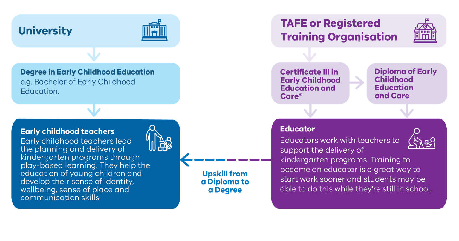 A diagram shows the two pathways in early childhood education: through a degree at a university, you can become an early childhood teacher. Or you can study a vocational course a TAFE, like a Certificate III or Diploma, and become an educator, then upskill to a teacher later by doing a degree.