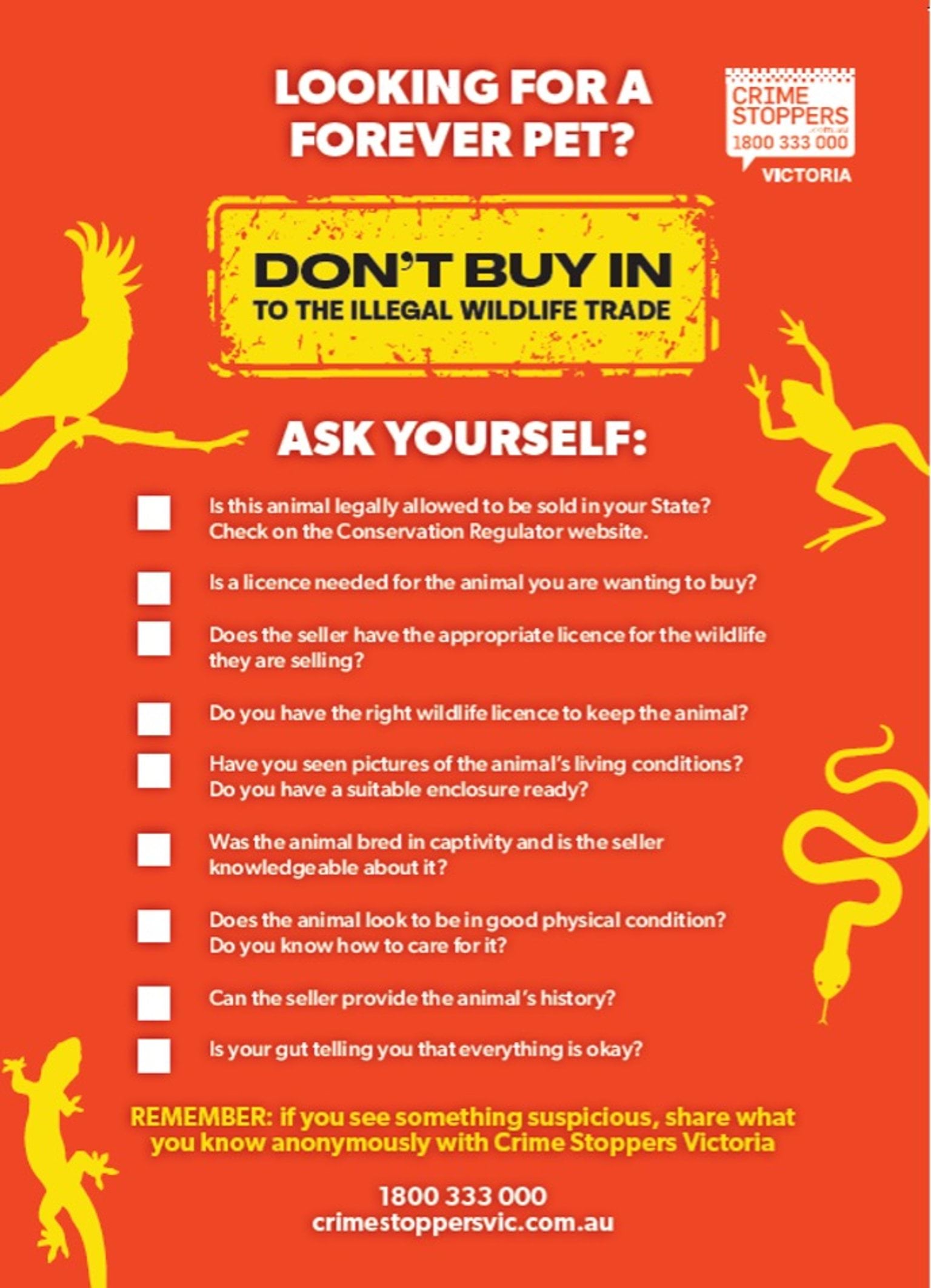 Looking for a forever pet brochure