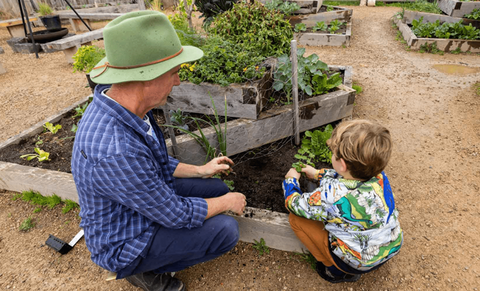 Career opportunities and support A male early childhood professional helps a child plant seedlings outside.