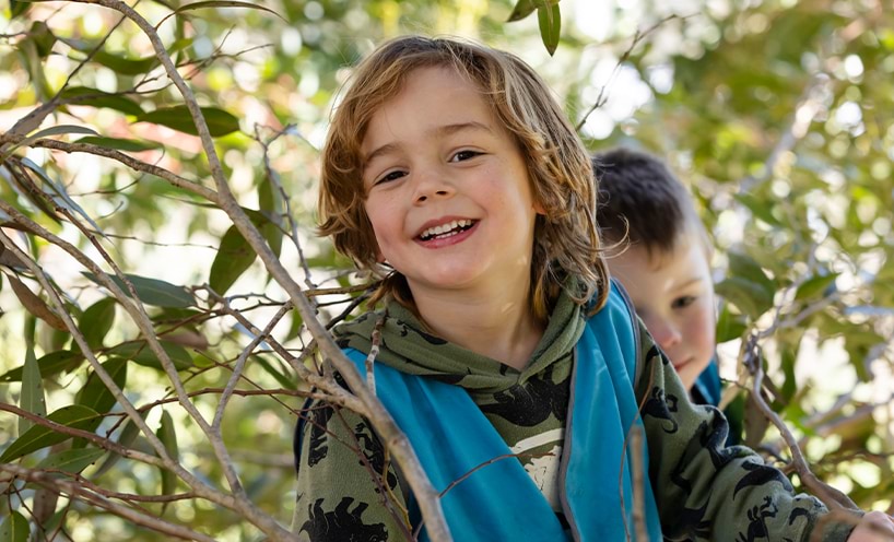 image of child seated amongst gum leaves 