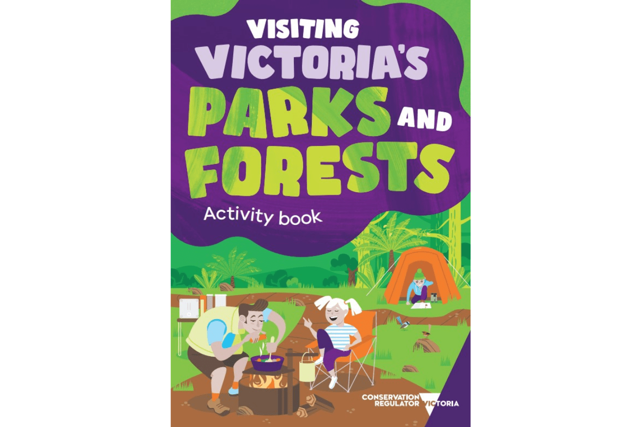 Green and purple kids' activity book, depicting a family camping on the front cover