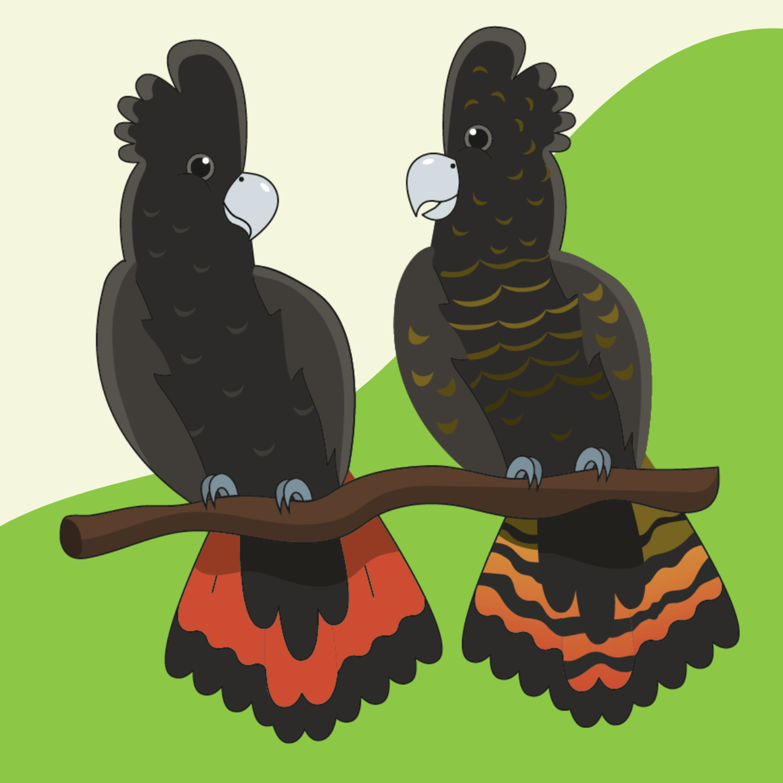 Two cartoon red-tailed black cockatoos one a branch. One male and one female with different patterned feathers. There is a bright green background