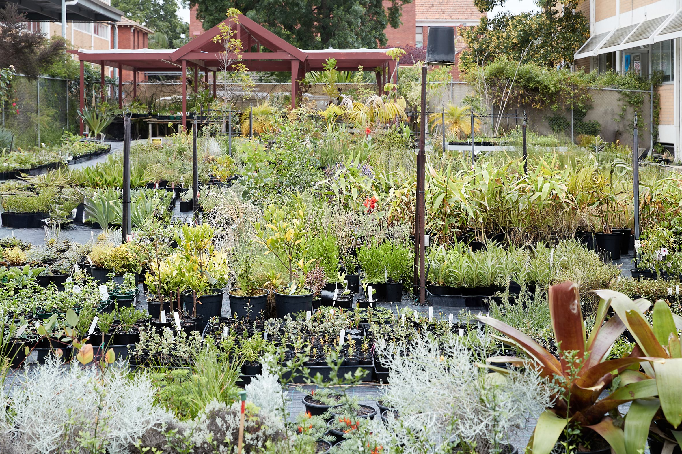 A garden centre with lots of different plants.